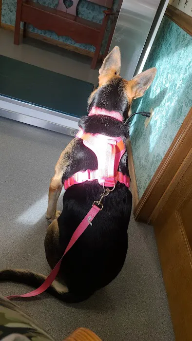 Randolph Veterinary Clinic 12