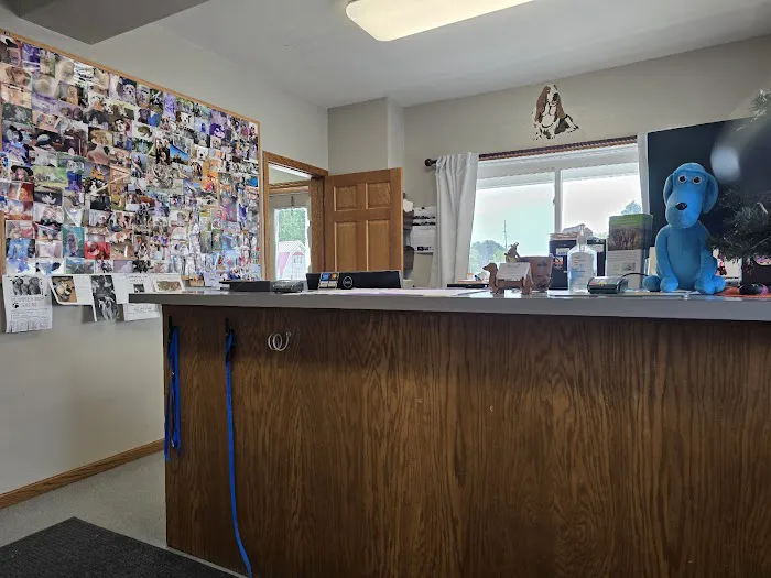 Randolph Veterinary Clinic 12