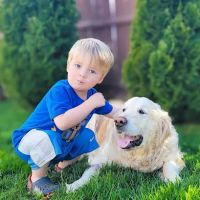 Marsh View Veterinary Clinic ico