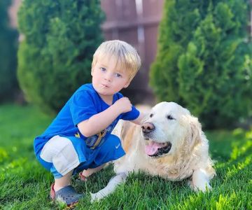 Marsh View Veterinary Clinic