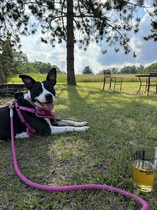 River Country Animal Wellness 8