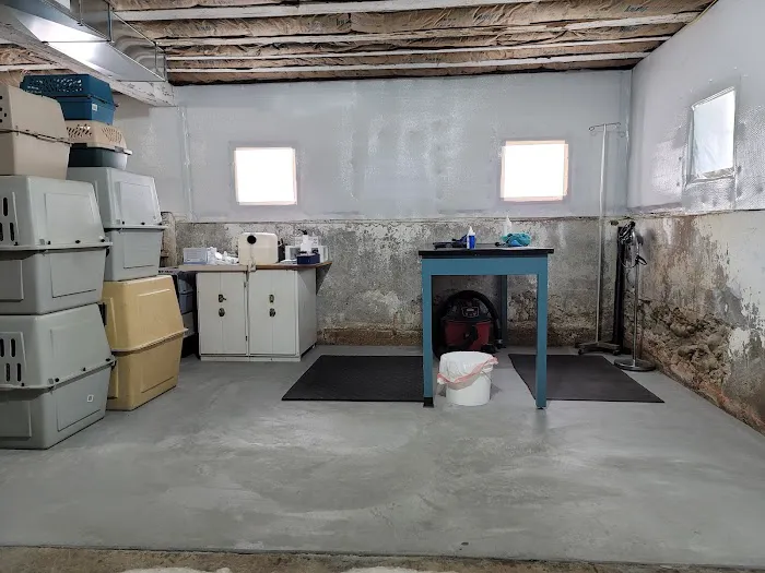 New Horizons Veterinary House Calls 1