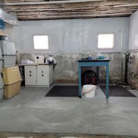 New Horizons Veterinary House Calls ico