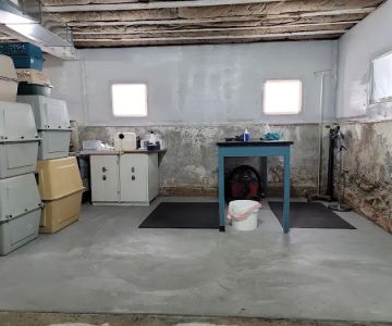 New Horizons Veterinary House Calls