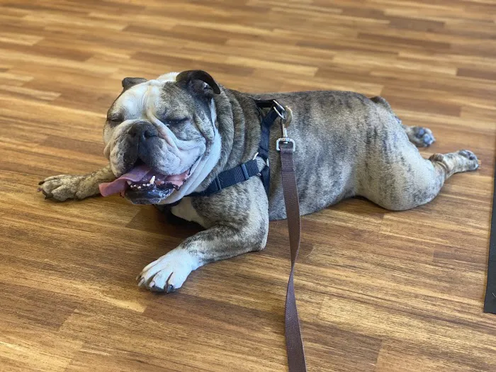 Cheshire Crossing Animal Hospital 3