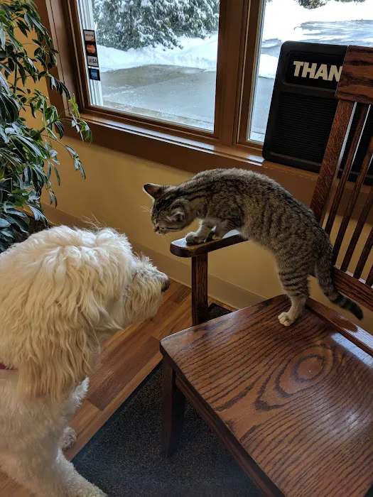 Cheshire Crossing Animal Hospital 6