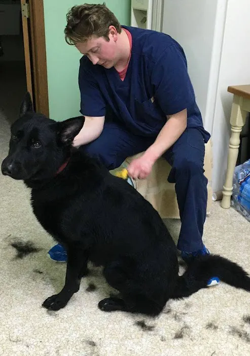 Pet Health Plus Veterinary Hospital 2