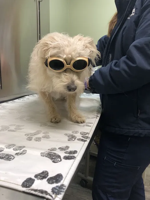 Pet Health Plus Veterinary Hospital 1