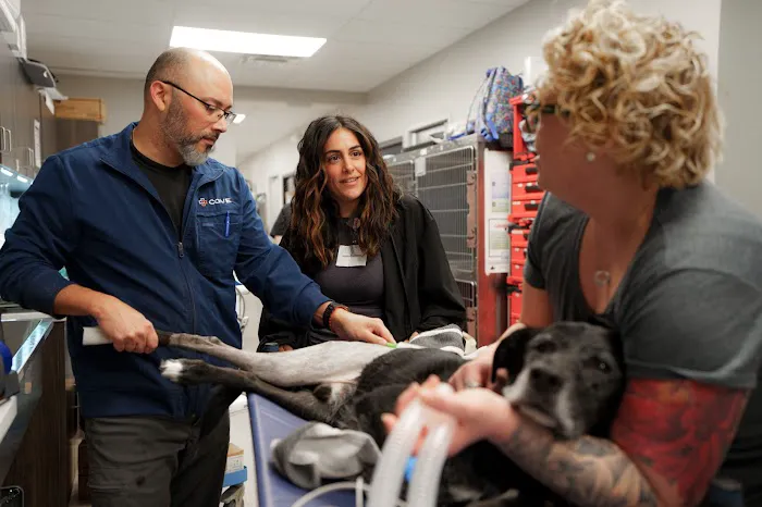 COVE Pet Care 7