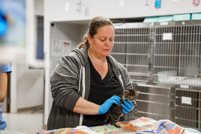 COVE Pet Care 9