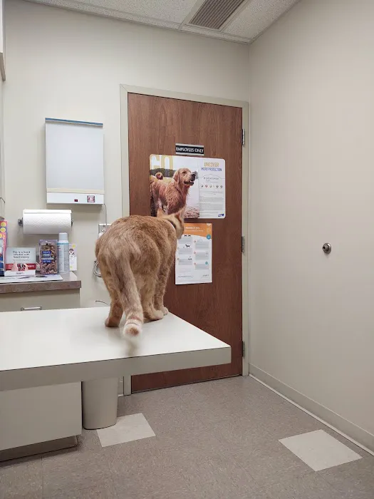 Cross County Veterinary Service 7