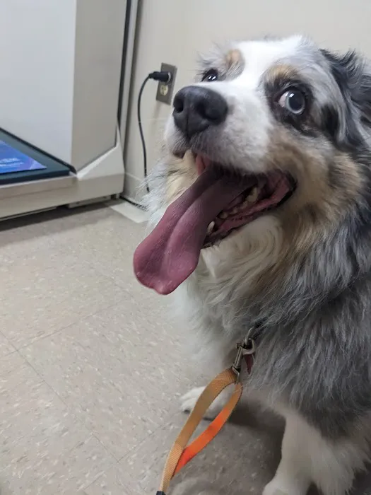 Cross County Veterinary Service 1