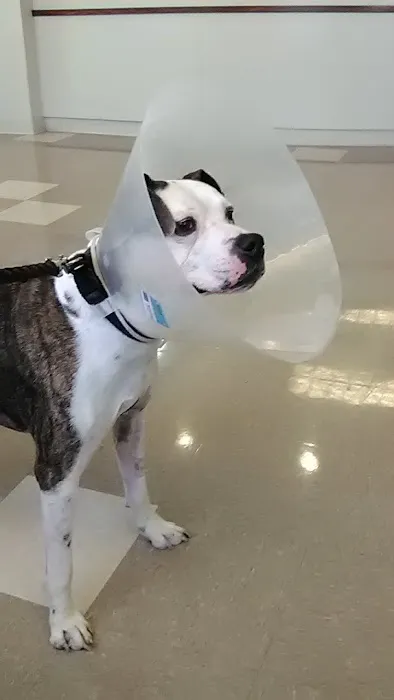 Cross County Veterinary Service 2