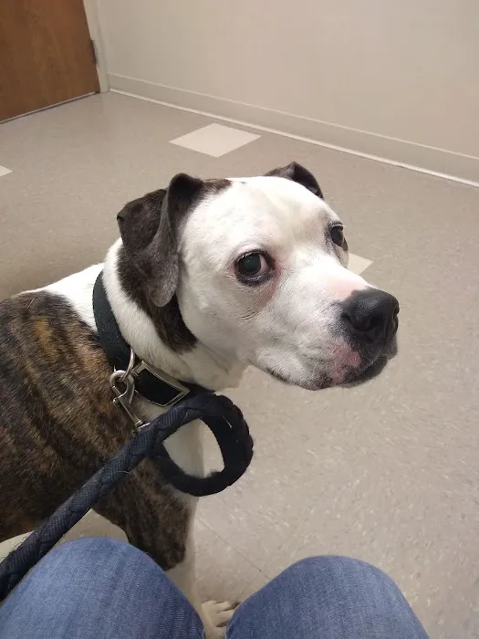 Cross County Veterinary Service 4