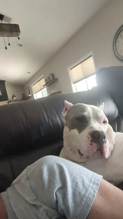 Galena Veterinary Care 6