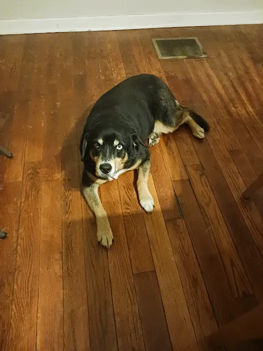 Galena Veterinary Care 5