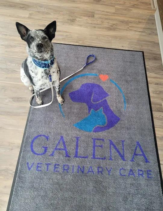 Galena Veterinary Care 2