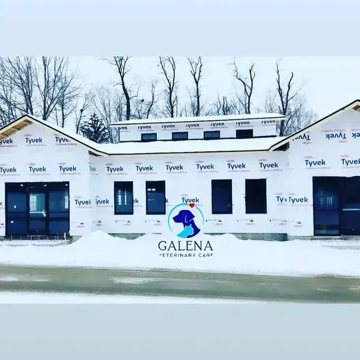 Galena Veterinary Care 9
