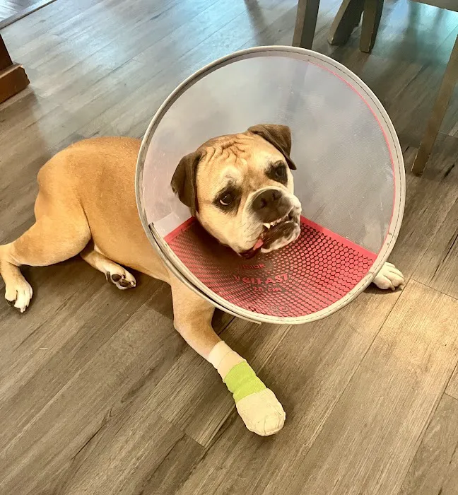 Galena Veterinary Care 4