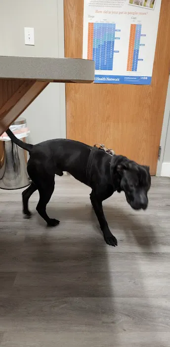 Village Veterinary Care 3