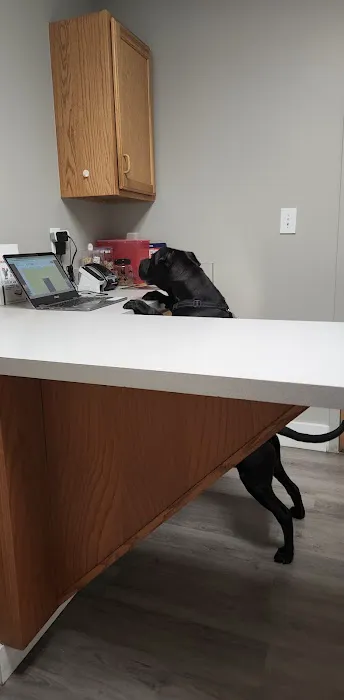 Village Veterinary Care 1