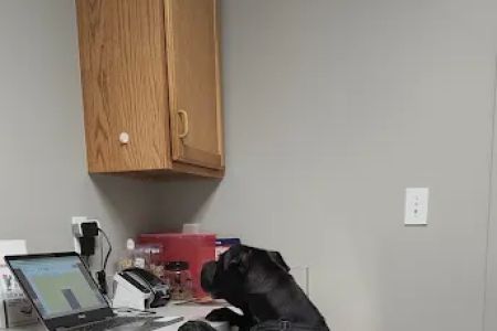 Village Veterinary Care