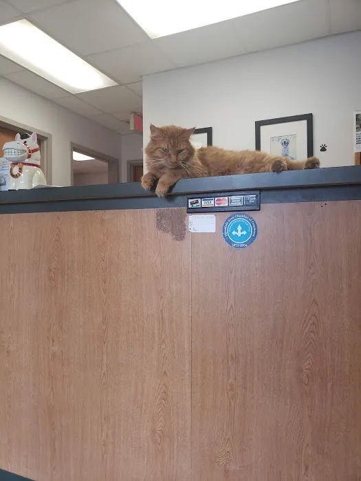 Village Veterinary Care 10