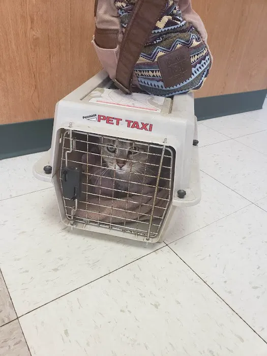 Village Veterinary Care 9