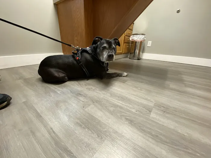 Village Veterinary Care 6