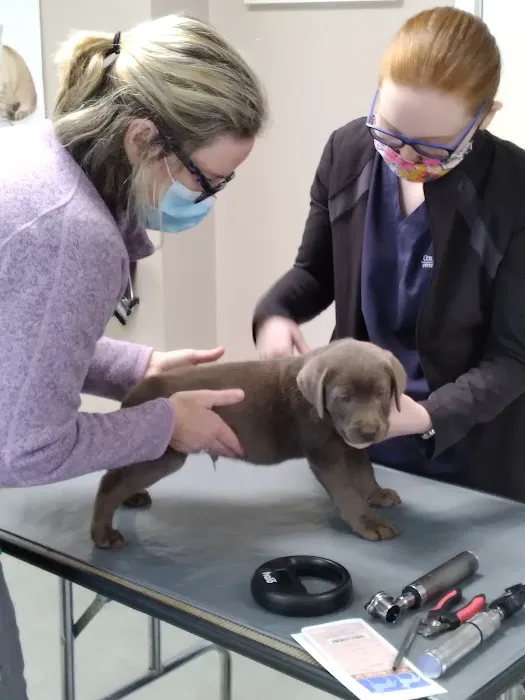 Refugee Canyon West Veterinary Services 3