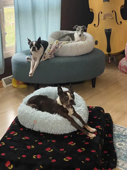 ValuVet Wellness Lancaster 5