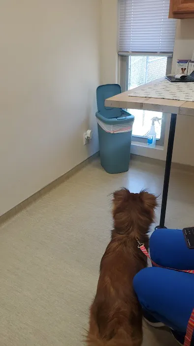 ValuVet Wellness Lancaster 4