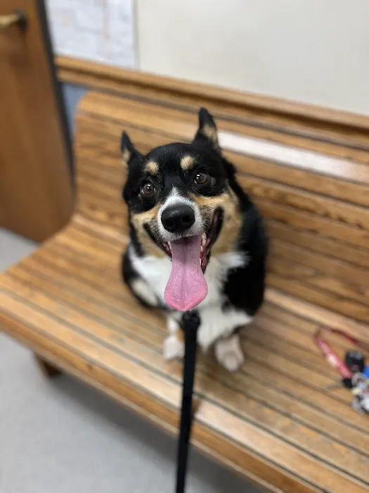 Lancaster Animal Clinic 5