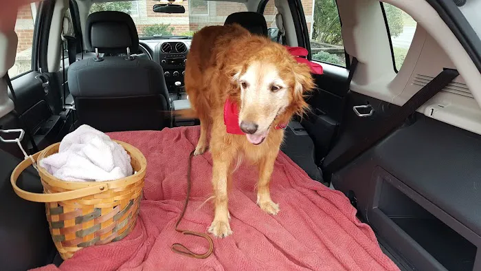 Lancaster Animal Clinic 6