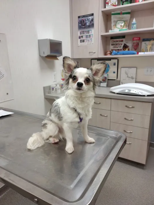Lancaster Animal Clinic 3