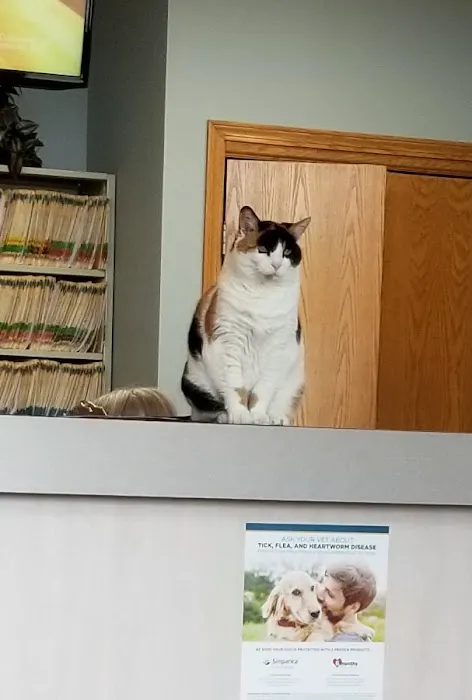 Lancaster Animal Clinic 2