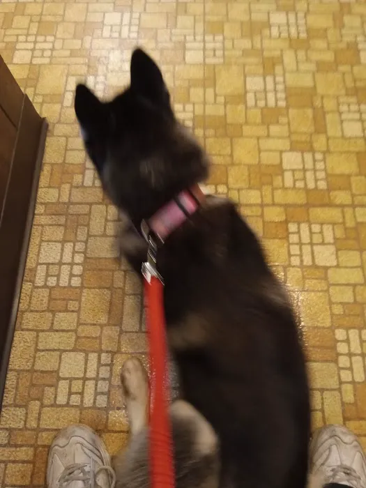 Fair Ave Veterinary Clinic 6