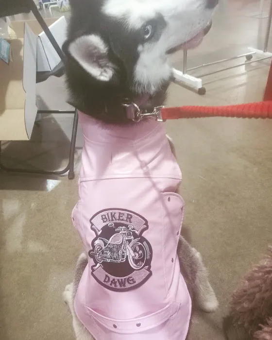 Fair Ave Veterinary Clinic 3