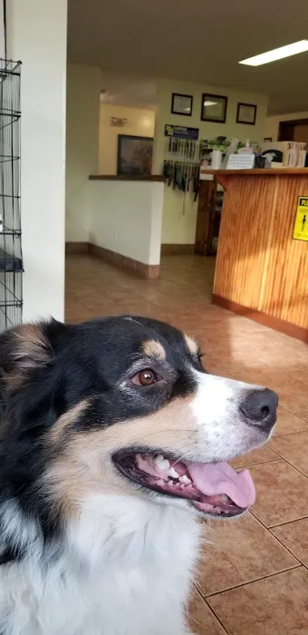 Alexandria Animal Clinic 12