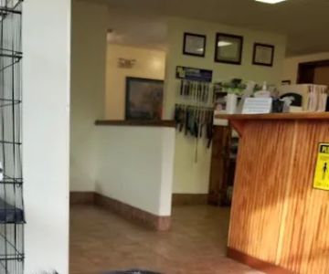 Alexandria Animal Clinic