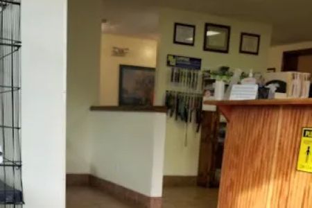 Alexandria Animal Clinic