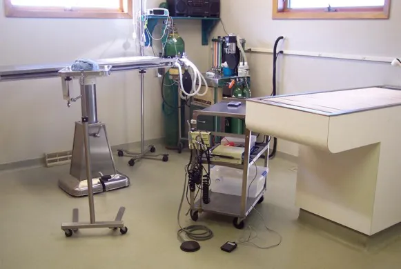 Osceola Veterinary Service 7