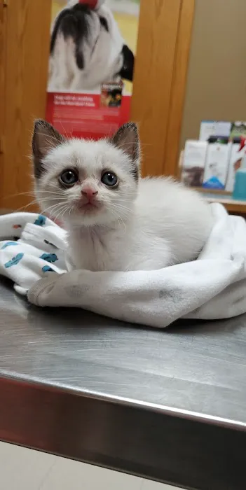 Animal Medical Center-Lindstrom 9