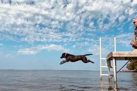 Lakes Veterinary & Surgical Center