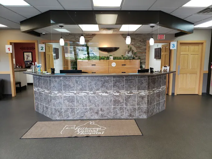 Hillcrest Animal Hospital 4