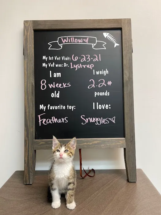 Hillcrest Animal Hospital 8