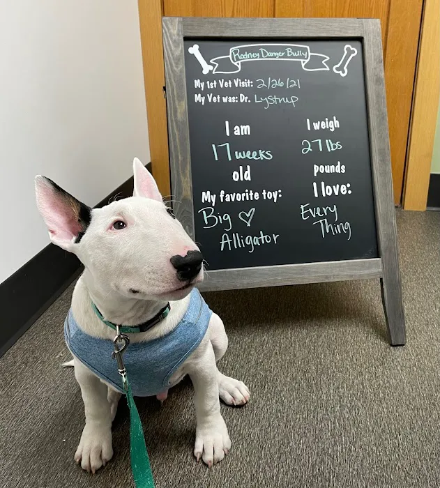 Hillcrest Animal Hospital 1