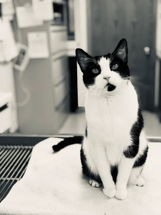 Hillcrest Animal Hospital 9