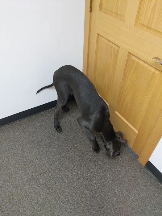 Hillcrest Animal Hospital 6