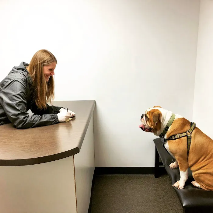 Hillcrest Animal Hospital 2